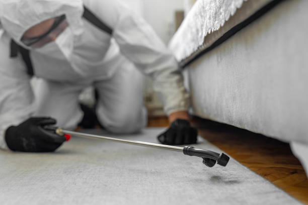 Professional Wasp Control technician working in Village of Four Seasons, MO